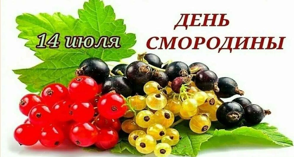 14 июля - День смородины