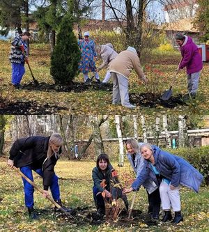 Сотрудники больницы высаживают деревья